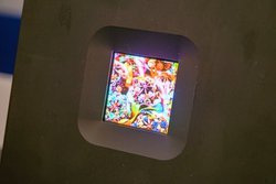 JDIA1.6^́u}CNLEDfBXvCvJBʎY