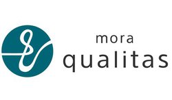 mora qualitas�A�s������A�b�v�f�[�g�B�����@�\�̃X�s�[�h�A�b�v��