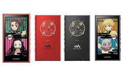 uSł̐nvR{EH[N}wbhzB\j[XgA^ANIPLEX+ňقȂwT