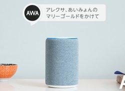 AWA��Amazon Alexa�ɑΉ��BEcho�V���[�Y����̊y�ȍĐ����\��