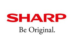 V[vAtpl̓NQɊւCHOTЂȂǂi