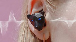 �g�[�e���ɃC���X�p�C�A���ꂽ�g�g����h���S���C�����X�C���z���uTiger��Rose�v