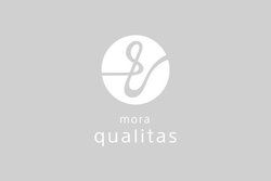 mora qualitas�APC�A�v���̑��쐫����A�b�v�f�[�g�B�ߓ����̃I�t���C���Đ��Ή����\��
