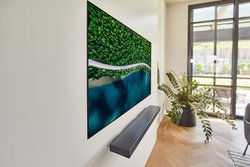 LG�A�g�ǂɓ\��h4K�L�@EL�e���r�uOLED WX�v�BGX/CX/BX�V���[�Y��