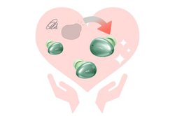 ���f�B�E�X�A���S���C�����X�C���z���́u�����⏞�T�[�r�X�v�B�Е��������Ă������Ɍ���