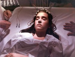 �������z���[�w�t�F�m�~�i�x4K���X�g�ABD��10/2�����B���̓��{�ꐁ�ւ�M�EA�EO�A�匴�ǎq�炪�S��