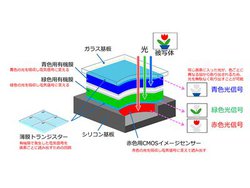 NHK�A�L�@���ϑw��3�w�J���[�B���f�q��Ǝ��J���B���������I�ɗ��p�������׎B�e