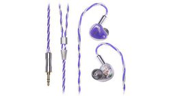 Oriolus�A�g�X�s���I�t�h�C���z���uCrassirostris�v�B�]���@����`���[�j���O�ύX