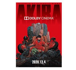 uAKIRAvS7قŃhr[Vl}fB35mm}X^[|W烊}X^[