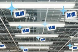 hoVJAG}ŋԂۂłIWiƖSX܂ɐݒu