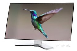 JOLED�A�L�@EL�f�B�X�v���C�uOLEDIO�v���o�׊J�n�B���E���̈�������ɂ��ʎY���f��