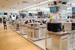 Ɠdʔ̊eЁAً}Ԑ錾󂯂ėՎxƁB4s{150Xȏ