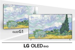 LG�A������p�l���uOLED evo�v�̗p��4K�L�@EL�e���r�uOLED G1�v