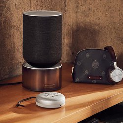 Bang & Olufsen�A�����a�m�C�u�����h�ƃR���{ �gBerluti Edition�h�B���C�����X�w�b�h�z���uBeoplay H95�v�Ȃ�6���i