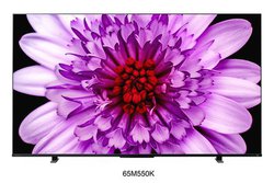 REGZA�A4K�t���e���r�uM550K�V���[�Y�v��65/55�^�B8/27����