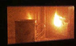 dqWAɓ͖̉fGBgƈSESȐiŎ̂𖢑Rɖh