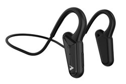 Hi-Unit�A�����ӂ����Ȃ��g�I���C���[�X�s�[�J�[�h�̃��C�����X�C���z���uHSE-BN5000�v