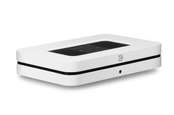 lbg[Nv[[̎vRiЂŋ}gB^̃nC]Xg[~O㓞 ̔X̐E؃LO9