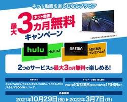 �\�j�[�A�Ώۂ́uBRAVIA�v�w����Hulu�^ABEMA�v���~�A�����ő�3���������ɂȂ�L�����y�[��