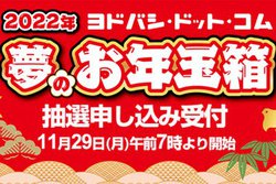 ヨドバシ.com、「夢のお年玉箱」抽選受付を11月29日 7時から開始