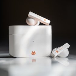 �����J�A�G���g���[�N���X�̊��S���C�����X�uNekoCake - �L�݁v�B�m�C�L���������a�h���C�o�[����