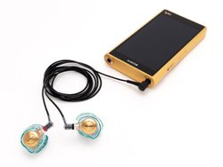 Just ear�A�V�ŏ�ʃE�H�[�N�}�������ɍœK�`���[�j���O�����J�X�^��IEM�uXJE-MHRWM1M2�v