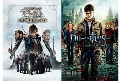 ���N�̏t�́u�n���[�E�|�b�^�[���t�@���^�r�Ղ�v�I �V���[�Y�n��g�����^Hulu�ł̓Ɛ茩����z�M������