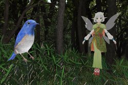 KDDI�A�u����VR�v��̌��w�K�Ɋ��p�B���Ⓓ�̐��������ĉf������T���ł���u���̂������ځv