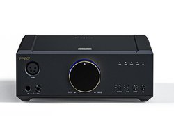 FiiO�AESS���t���O�V�b�vDAC�`�b�v���ڂ̃w�b�h�z���A���v�uK9 Pro ESS�v