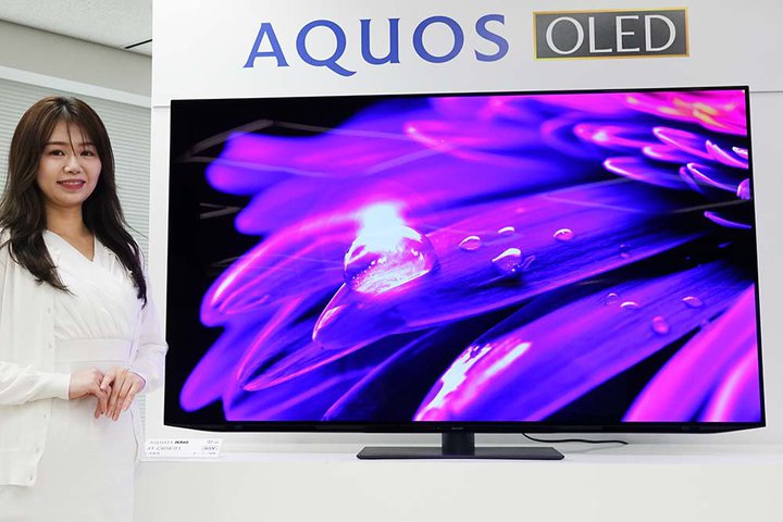 �V���[�v�A4K�L�@EL�e���r�̐V�t���O�V�b�v�uAQUOS OLED�@ES1�v�B�P���̕\���͂�����