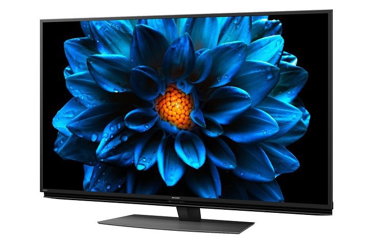 �e���r�e����Ŕ���؃g�b�v�������ĉΉԂ��U�炷�\�j�[�ƃV���[�v ��AV���i����؃����L���O5����