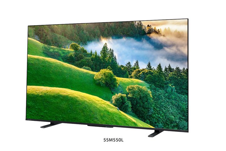 REGZA�A4K�t�����O�U�uM550L�v��55�^50�^43�^�ǉ��B8��31������