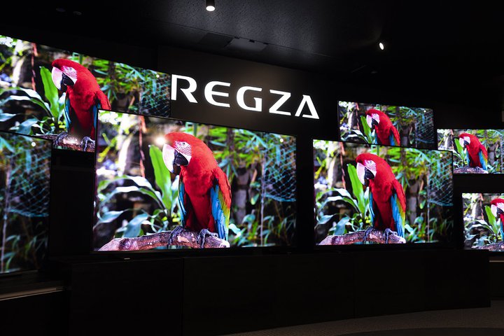 4K/�L�@EL�ɑ������掿�Z�p�u�ʎq�h�b�g�v�̖��͂Ƃ́HREGZA���O����