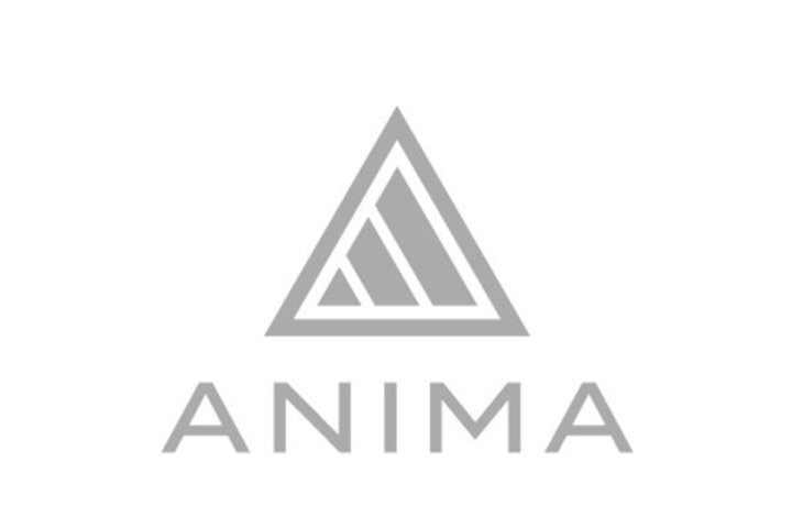 ANIMA�ASnapdragon Sound�Ή����i�̊J���X�^�[�g�B2023�N1Q�܂łɔ����ڎw��