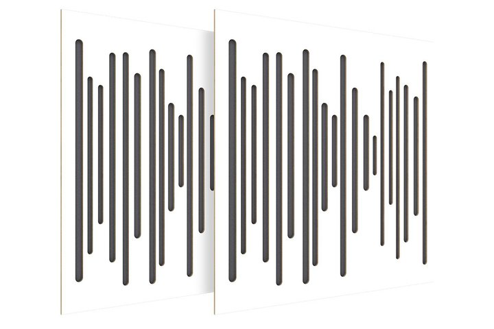 Vicoustic�A�z���p�l��2��1�g�̓��{����Z�b�g�uVicoustic�g���C�A���E�p�b�N�v