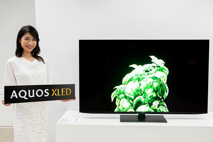 �V���[�v�Amini LED����4K�e���r�uAQUOS XLED�v�gEP1���C���h�B�ʎq�h�b�g���b�`�J���[�ō��x�ȐF�\����