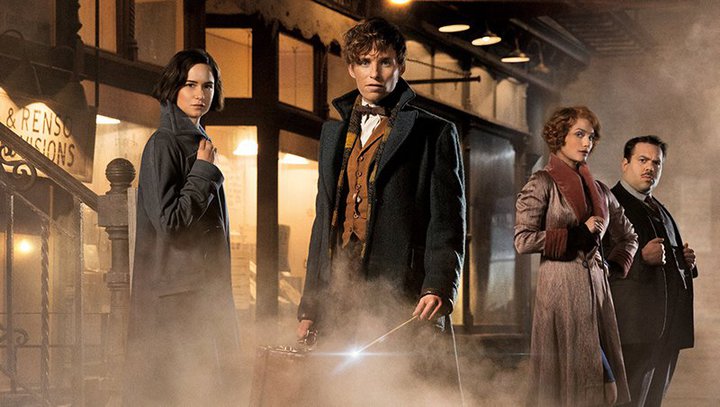 Netflix�A�w�n���[�E�|�b�^�[�x�w�t�@���^�X�e�B�b�N�E�r�[�X�g�x�V���[�Y�S��i��12/31���ꋓ�z�M�J�n