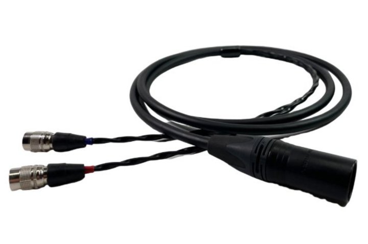 AIMS �~ DELL�fARTE�A�g���i���ł���Ȃ��炨���߂₷���h���i��ڎw���� �w�b�h�z���P�[�u��