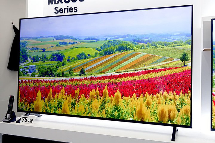 �p�i�\�j�b�N�A�批����������4K�t���r�G������@�uMX800�v�B75�^����43�^�܂�5�T�C�Y