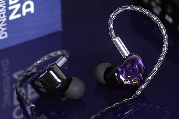 Kiwi EarsA10mmxEhCo[ڂ̃Gg[CzuCadenzav