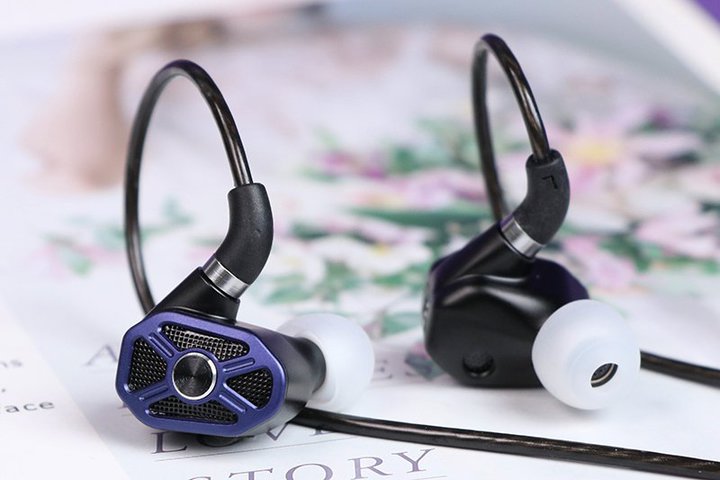 RAPTGO�A�g���v���E�n�C�u���b�h�\���̗L���C���z���uBridge�v