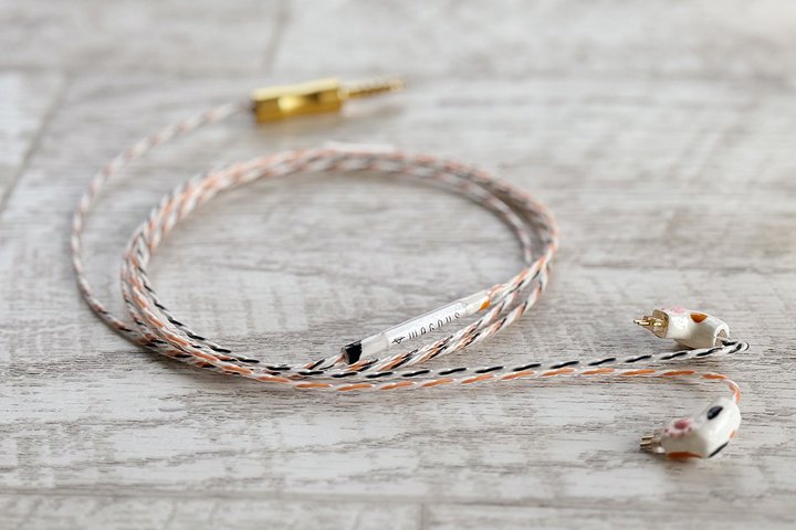 WAGNUS.AgL̂悤ȃTEhh ̃P[uuCalico Lilyv