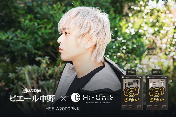 Hi-UnitAgLsz2h̐VpbP[WŁuHSE-A2000PNKv6/4