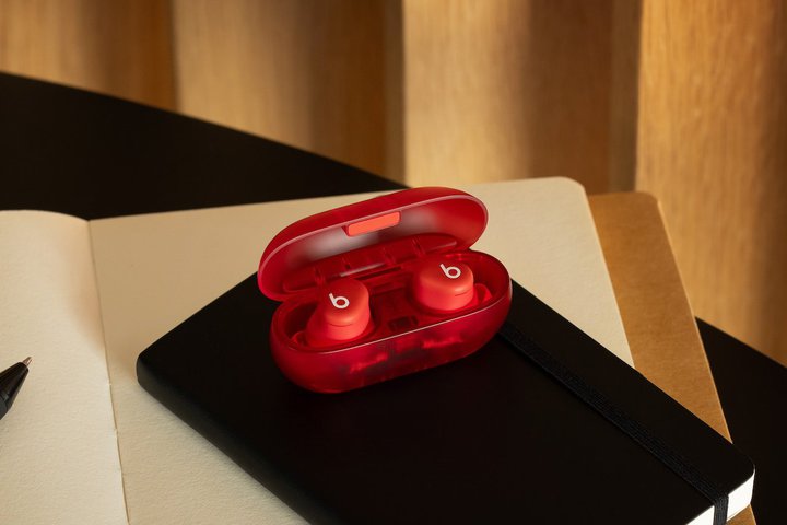 BeatsAVSCXCzuSolo Budsv6/20ɔBP[XɃobe[񓋍ڂ̃uhŏf