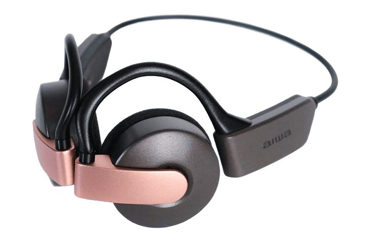 aiwaAI[vC[^CzuButterfly NEOvBDouble Resonance Driverjbg