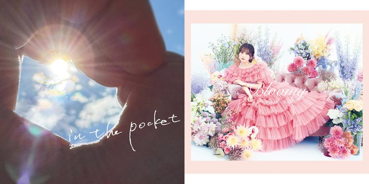 ymoraAj\TOP10zw݂̐Fx̂AgbvI qBj[AozMJn