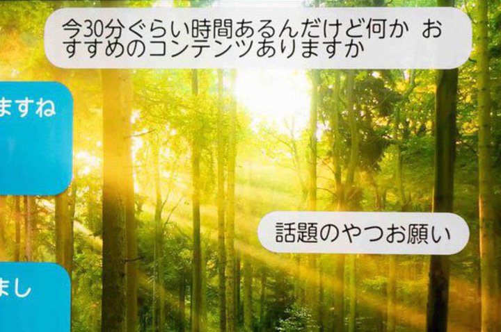 CESOUAAÎꂽuOUCeWFXvJ\Berɕ֗掿