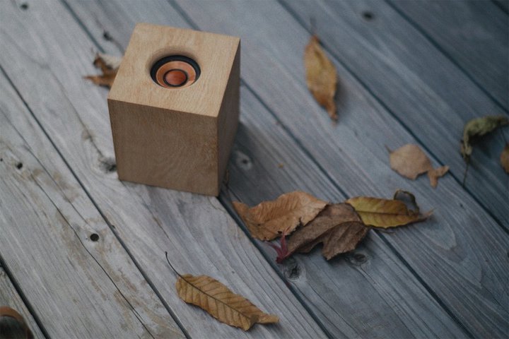 JVCPEbhAAEbhLrlbg̃CXXs[J[uWDS-01v