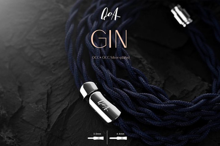 QoAA_炩TEh̃P[uuGINvBEvO𓋍