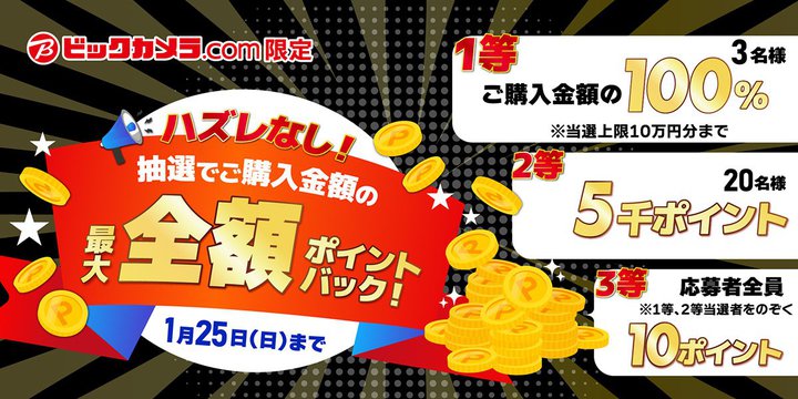 �r�b�N�J����.com�A�ő�S�z�|�C���g�Ҍ��L�����y�[���B�S���ɕK��10�|�C���g�Ҍ�